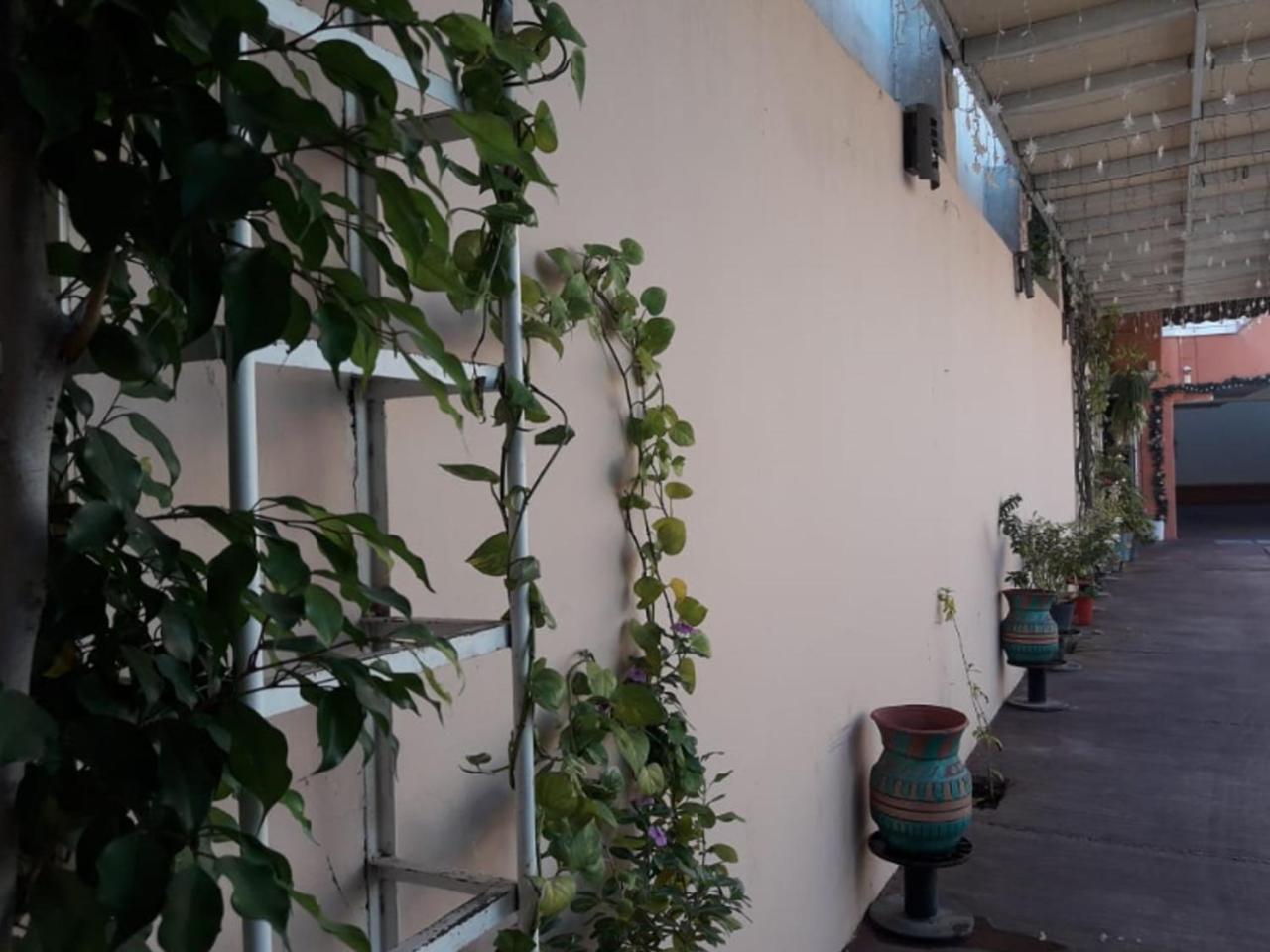 Tercera Avenida Hotel Tuxtla Gutierrez Luaran gambar